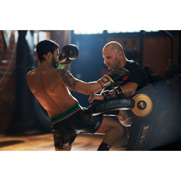 Ceinture de frappe Leone