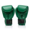 Gants de boxe Fairtex Atencio Resurrection
