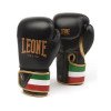 Gants de Boxe Leone Italie