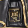 Gants de Boxe Leone Italie