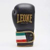Gants de Boxe Leone Italie