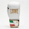 Gants de Boxe Leone Italie