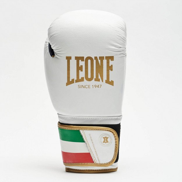 Gants de Boxe Leone Italie
