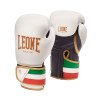 Gants de Boxe Leone Italie