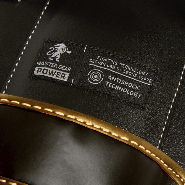 Pao de Boxe incurvé Leone