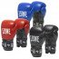 Gants de boxe Leone Ambassador 100% cuir