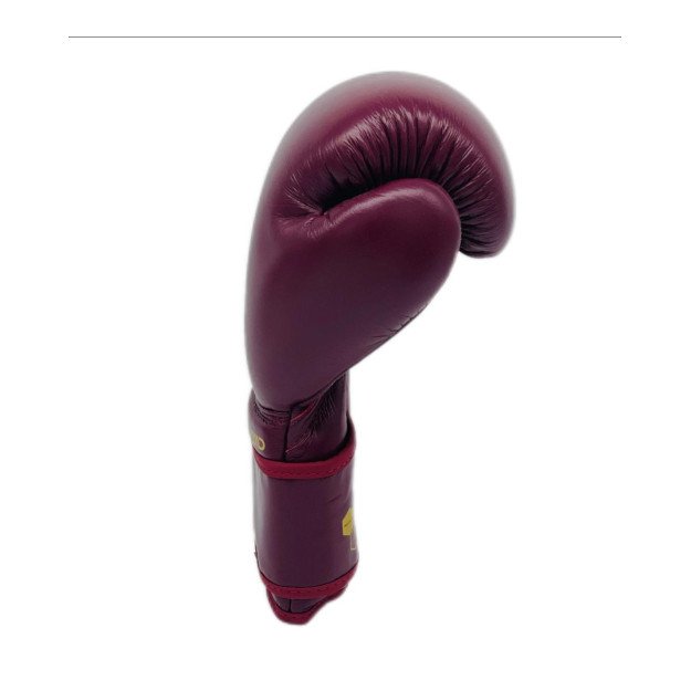 Gants de Boxe Montana Victory Legend