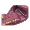 Gants de Boxe Montana Victory Legend