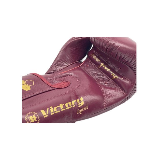 Gants de Boxe Montana Victory Legend