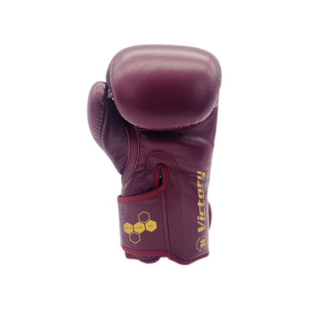 Gants de Boxe Montana Victory Legend