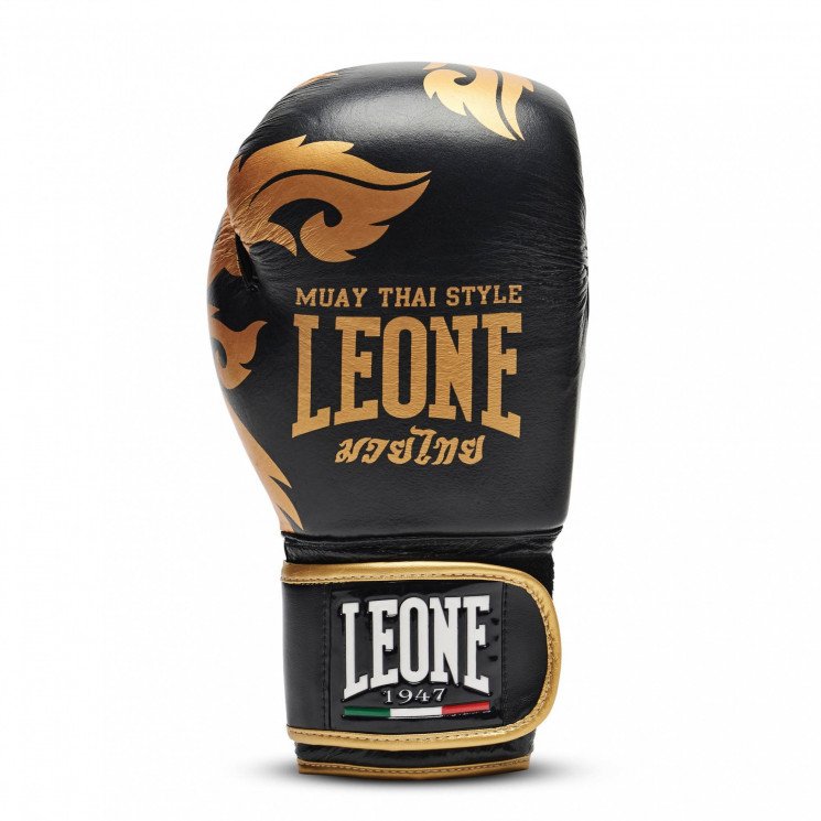 gant de boxe leone