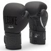 Gants de boxe Leone vintage