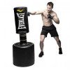Punching Ball Powercore Everlast