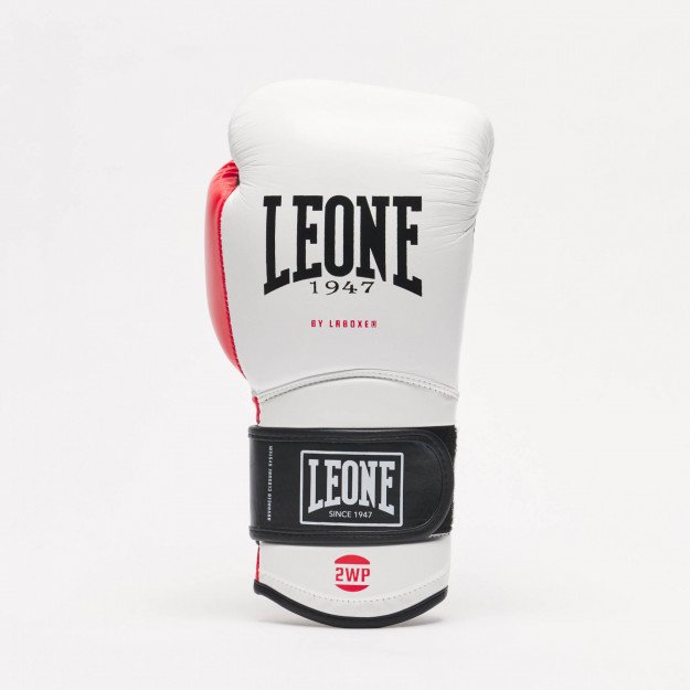 Gants de Boxe Leone Il Tecnico 3
