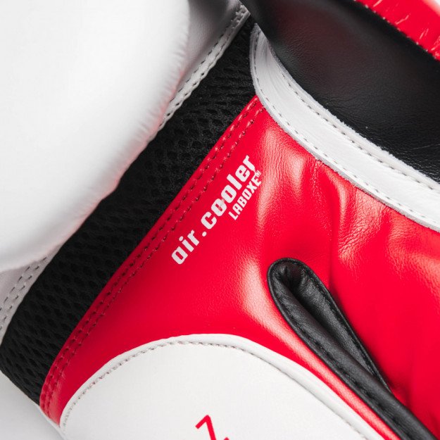 Gants de Boxe Leone Il Tecnico 3