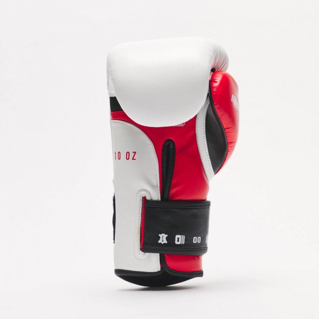 Gants de Boxe Leone Il Tecnico 3