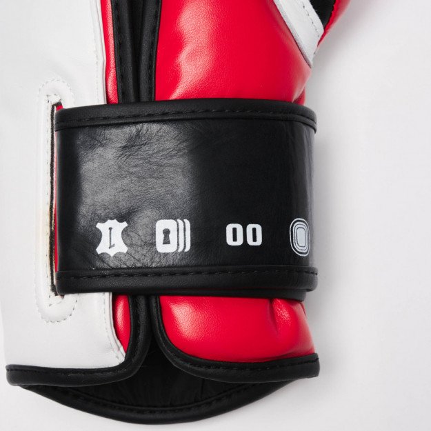 Gants de Boxe Leone Il Tecnico 3