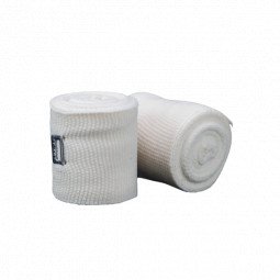 Bandes Mexicaines Cleto Reyes