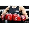 Gants de Boxe Cleto Reyes High Precision