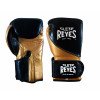 Gants de Boxe Cleto Reyes High Precision