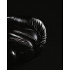 Gants de Boxe Omega 100% Cuir