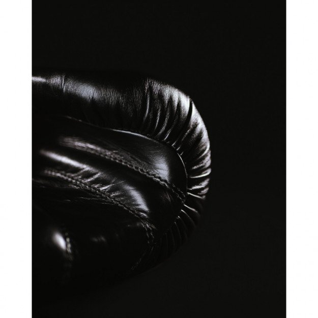 Gants de Boxe Omega 100% Cuir