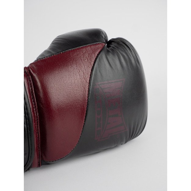 Gants de Boxe Omega 100% Cuir