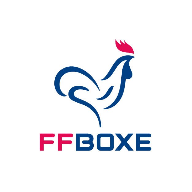 Casque de Boxe compétition Pro FFBOXE