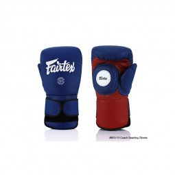 Gants de boxe professeur Fairtex