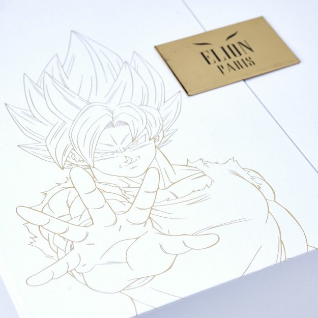 Gants de Boxe Dragon Ball Z Goku - Edition Limitée Elion