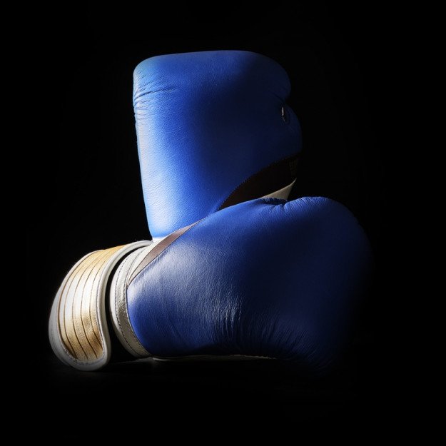 Gants de Boxe Dragon Ball Z Vegeta - Edition Limitée Elion