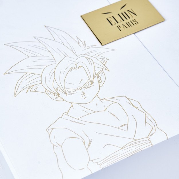 Gants de Boxe Dragon Ball Z Gohan  - Edition Limitée Elion