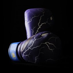 Gants de Boxe Dragon Ball Z Gohan  - Edition Limitée Elion