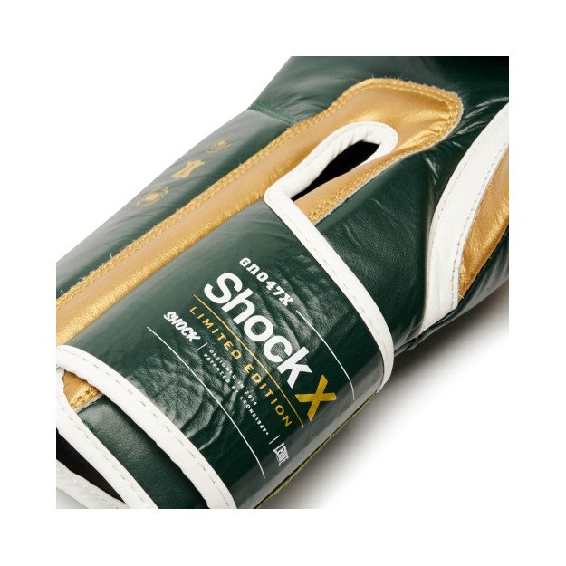 Gants de Boxe Leone Shock X Vert