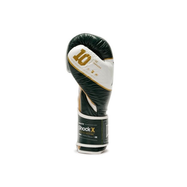 Gants de Boxe Leone Shock X Vert