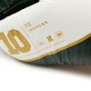 Gants de Boxe Leone Shock X Vert