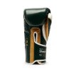 Gants de Boxe Leone Shock X Vert