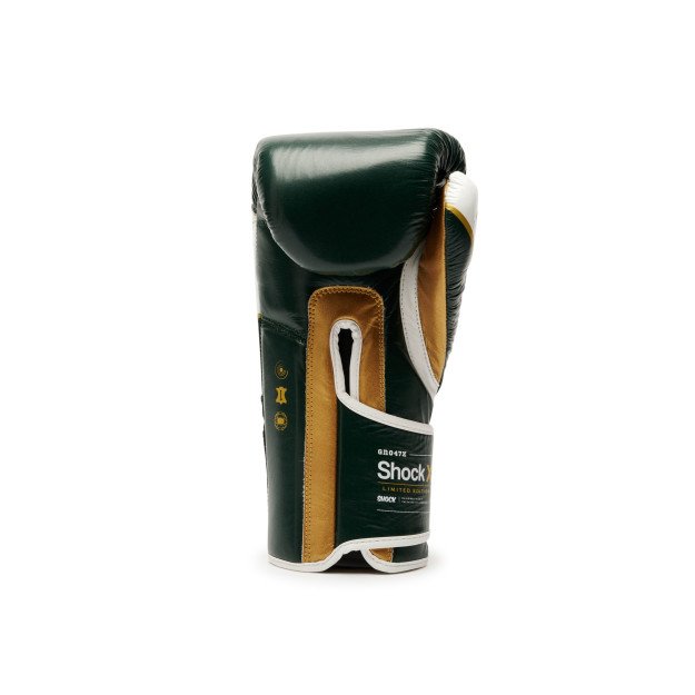Gants de Boxe Leone Shock X Vert