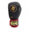 Gants de Boxe Montana Devil Phoenix