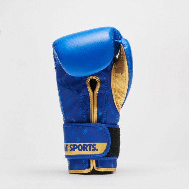 Gants de Boxe Leone DNA 100% Cuir