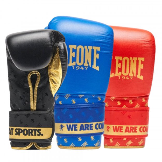 Gants de Boxe Metal Boxe EV1