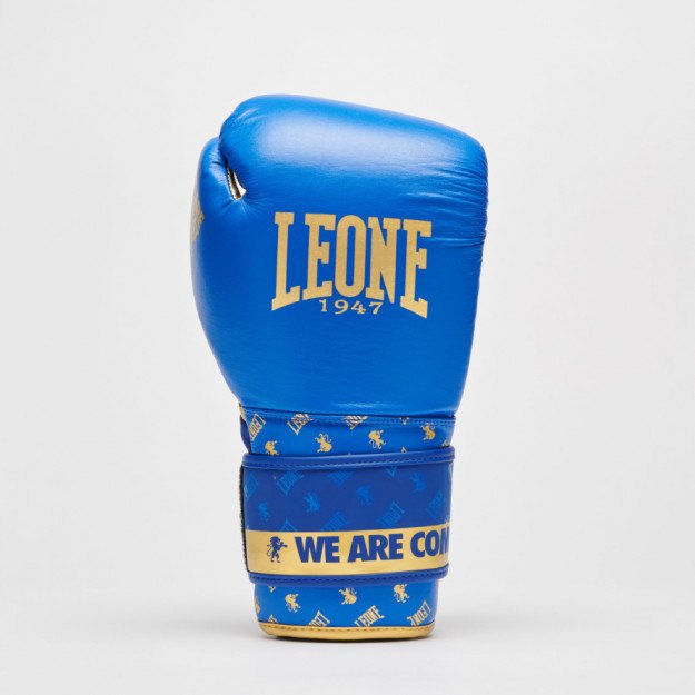Gants de Boxe Leone DNA 100% Cuir