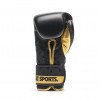 Gants de Boxe Leone DNA 100% Cuir