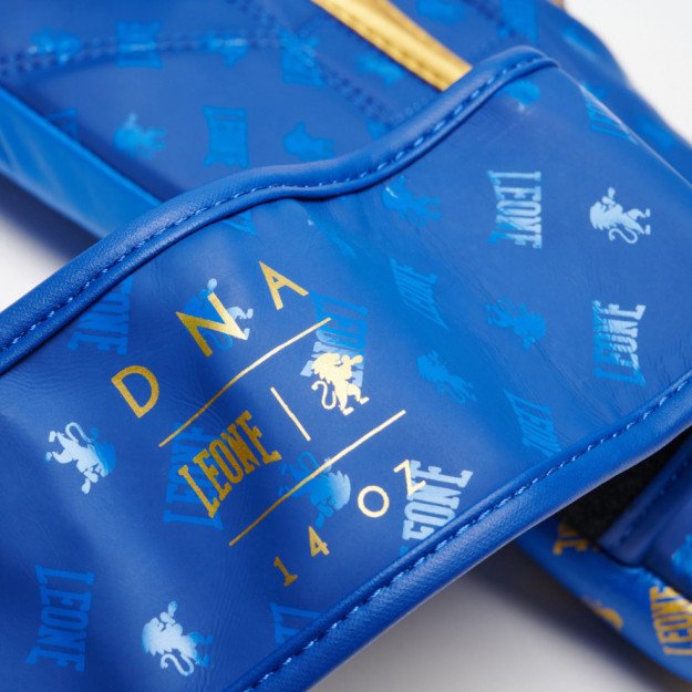 Gants de Boxe Leone DNA 100% Cuir