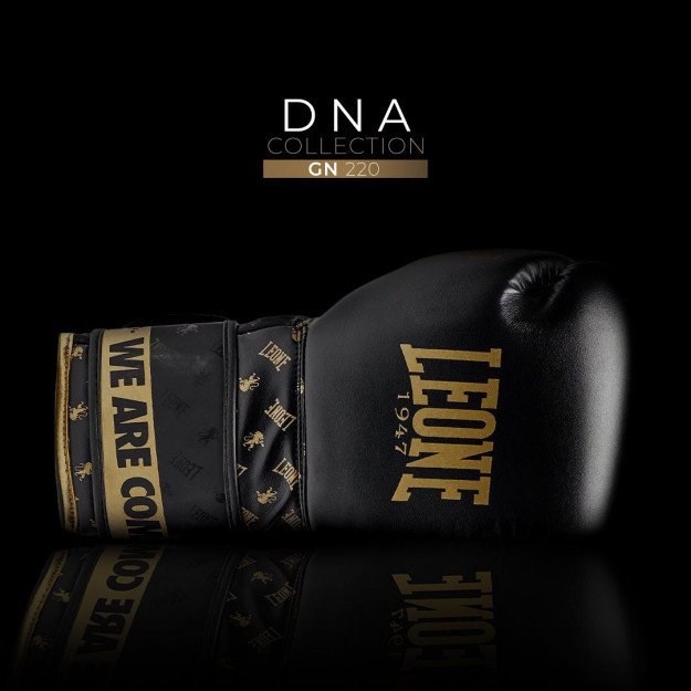 Gants de Boxe Leone DNA 100% Cuir