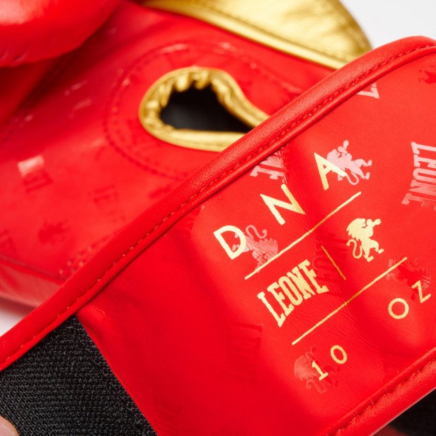 Gants de Boxe Leone DNA 100% Cuir