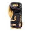 Gants de Boxe Victory 100% Cuir Montana