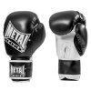 Gants de Boxe Entrainement Metal Boxe