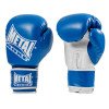Gants de Boxe Entrainement Metal Boxe