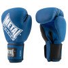 Gants de Boxe Super Entrainement Metal Boxe